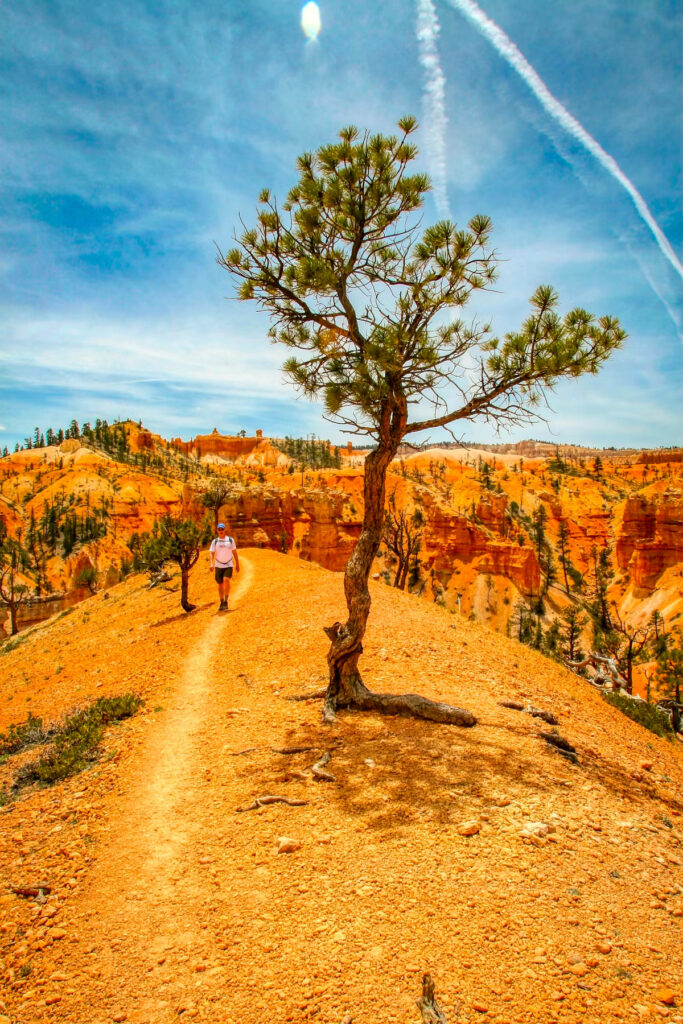 Bryce Canyon National Park