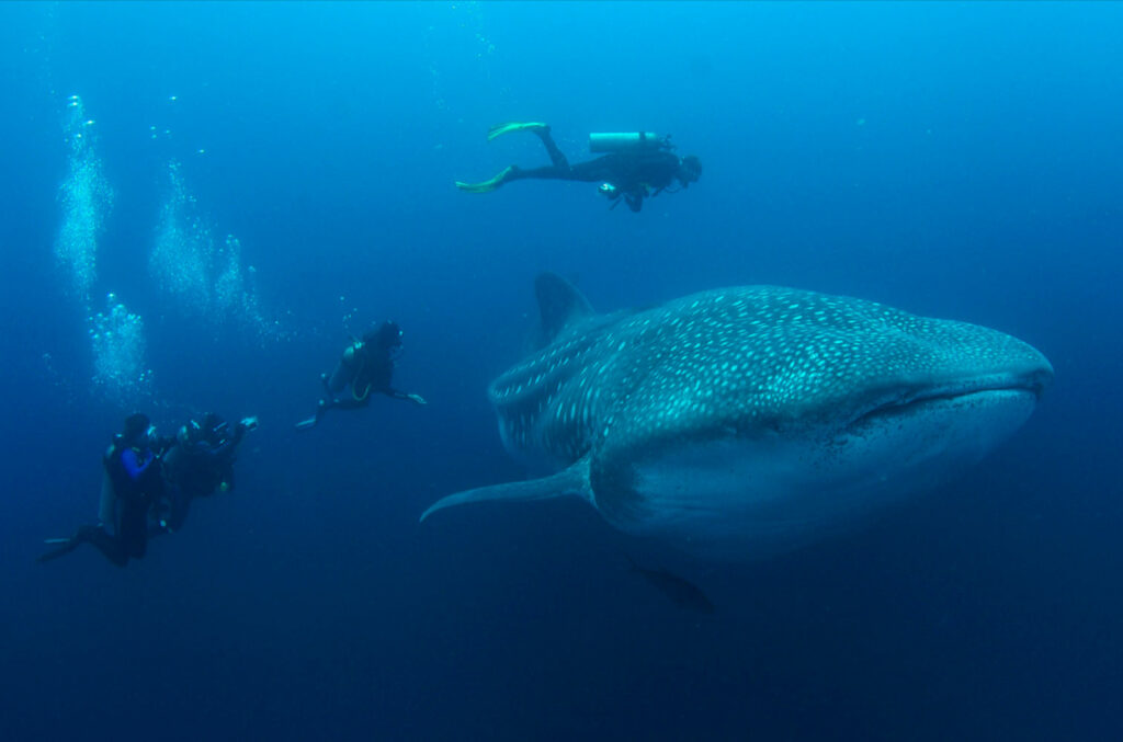 Parc National des Galapagos