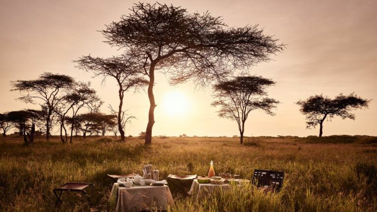 Santuary Kusini, Tanzanie