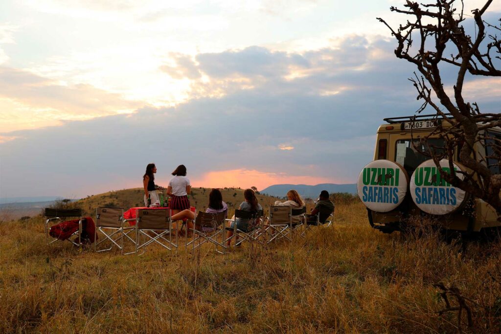 Découvrez le Parc National du Serengeti en Tanzanie