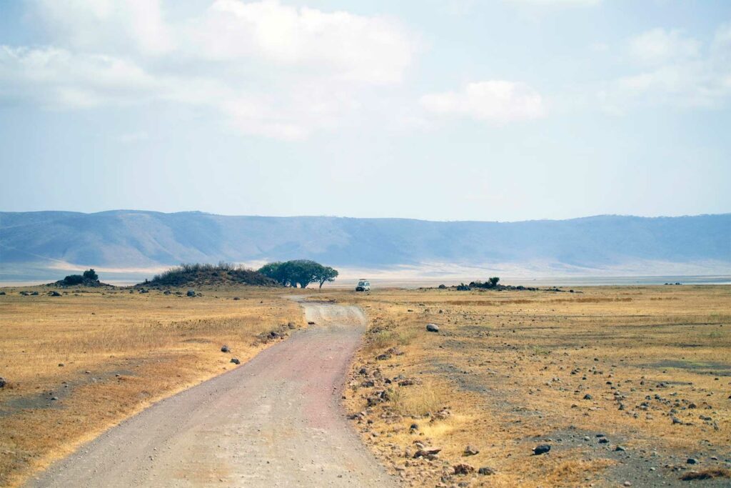 Découvrez le Parc National du Serengeti en Tanzanie