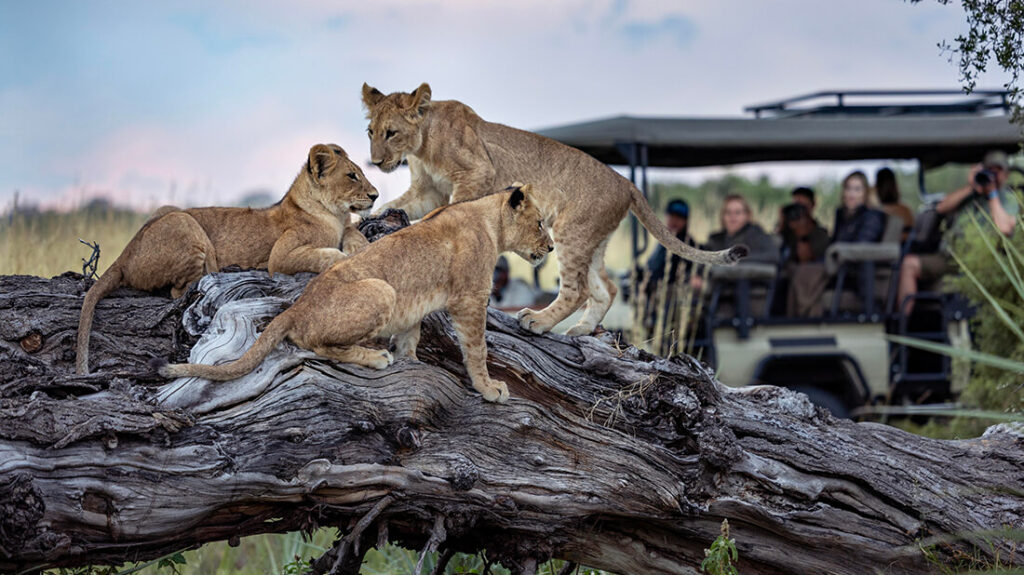 Tawana Lodge, Botswana