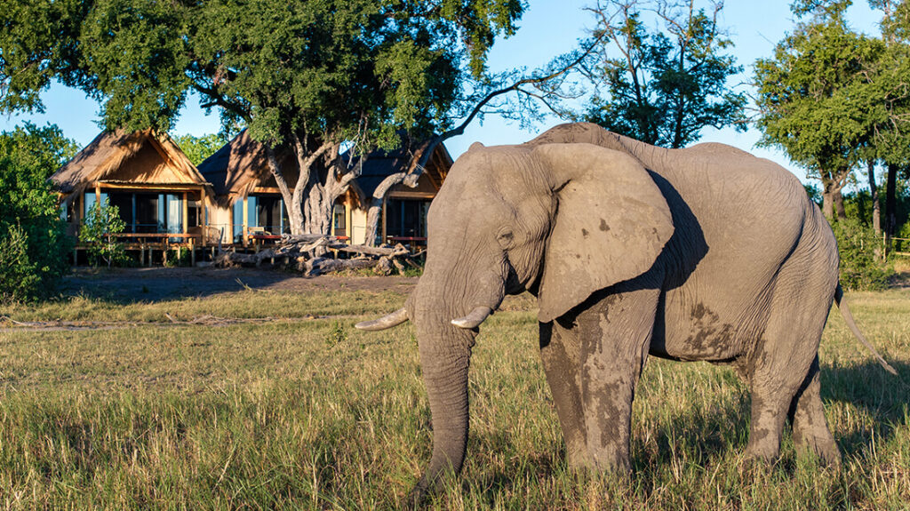 Tawana Lodge, Botswana