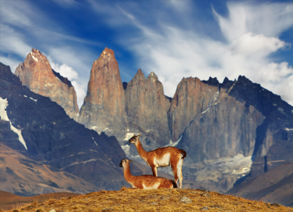 Torres del Paine au Chili