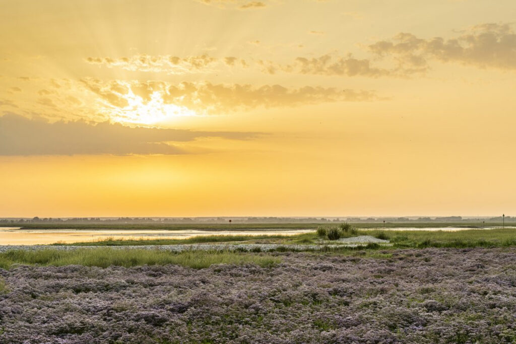 Découvrez la Baie de Somme: notre guide pratique