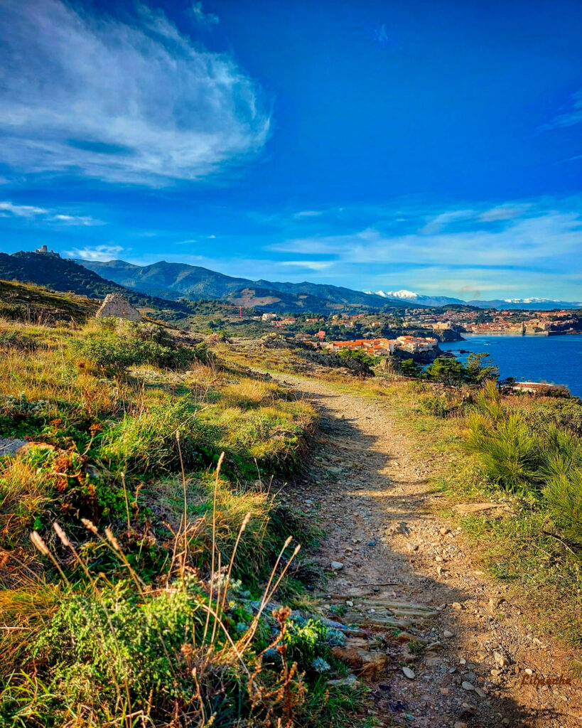 Partir en week-end à Collioure