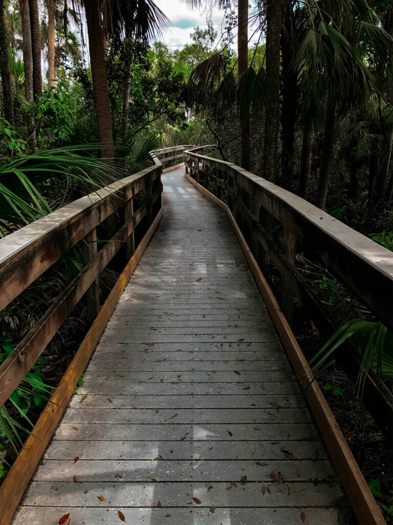 Visiter le parc national des Everglades en Floride