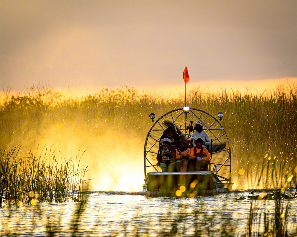 Visiter le parc national des Everglades en Floride