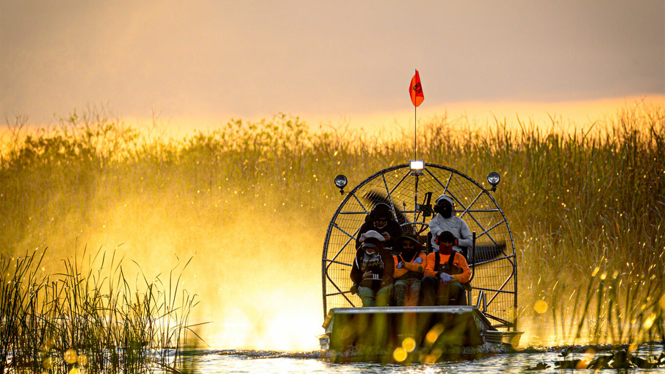 Visiter le parc national des Everglades en Floride