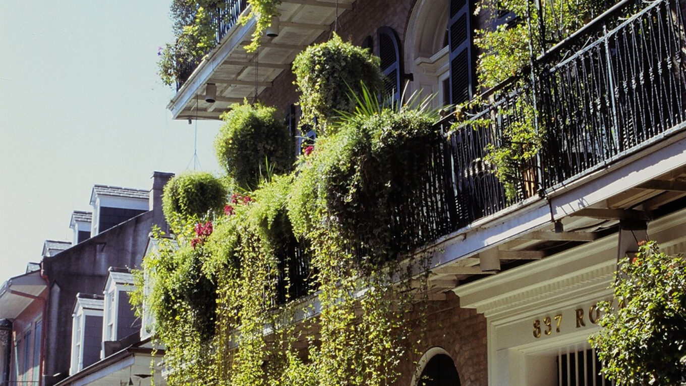 Découvrir le French Quarter à la Nouvelle-Orléans