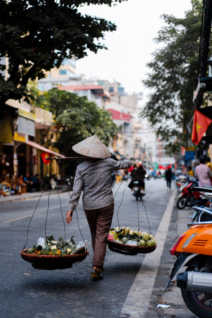 Hanoi dans les livres