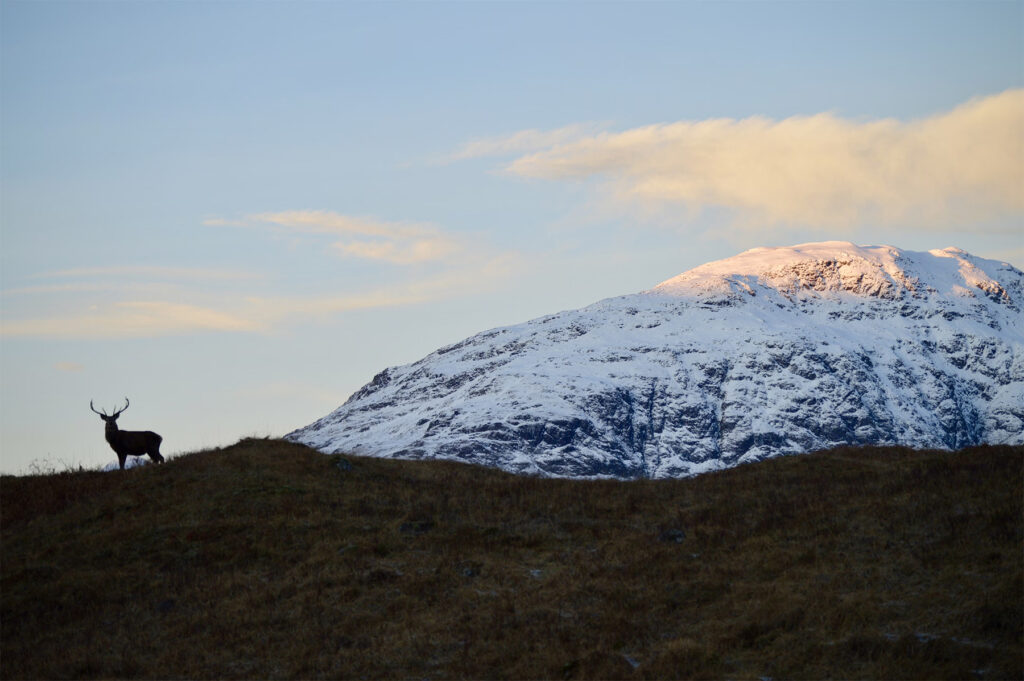 Les Highlands d'Écosse