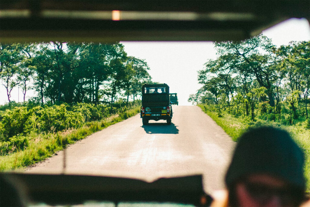 Kruger National Park: un safari inoubliable en Afrique du Sud