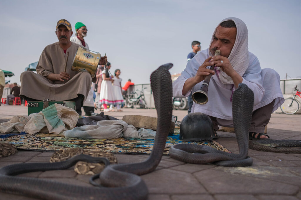 Voyager à Marrakech avec ses enfants