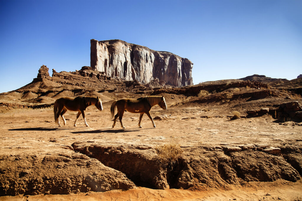 Monument Valley dans les films