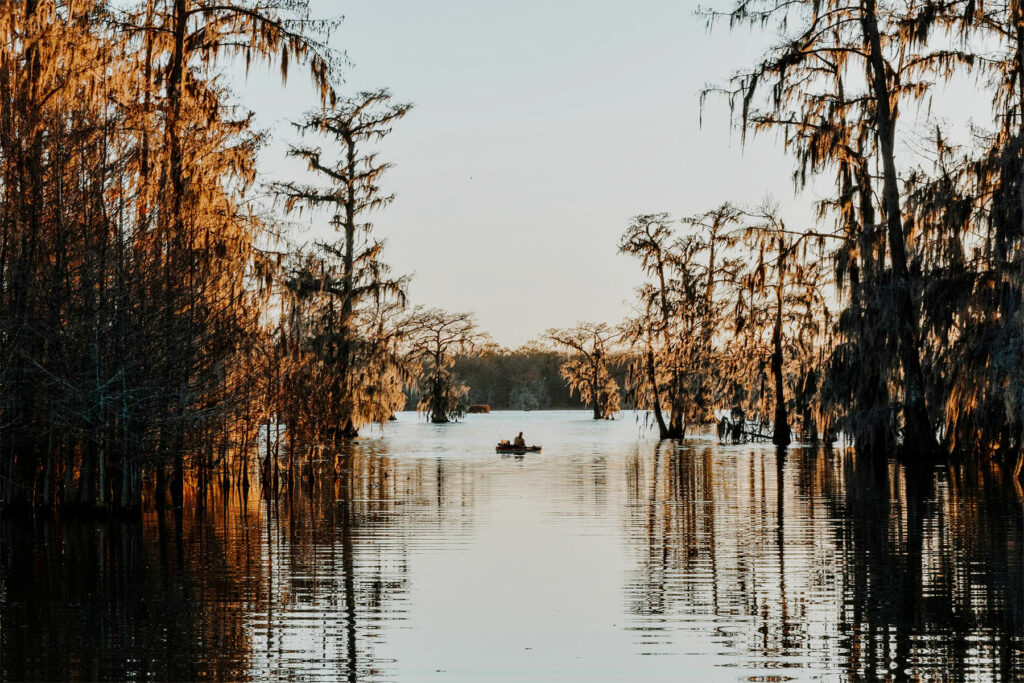 bayou