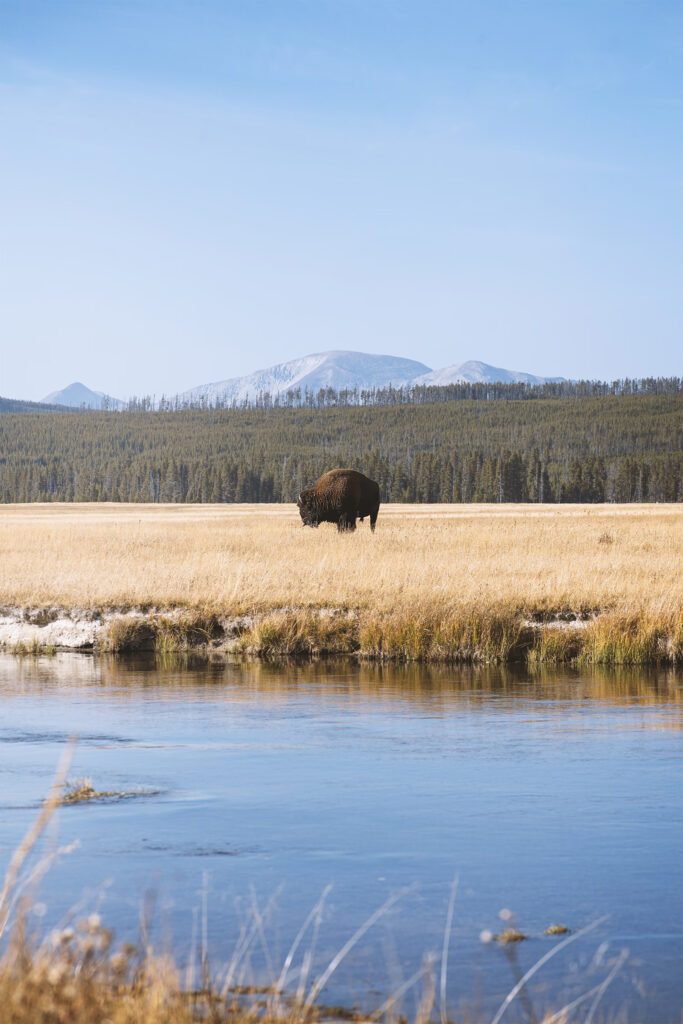 Explorez Yellowstone