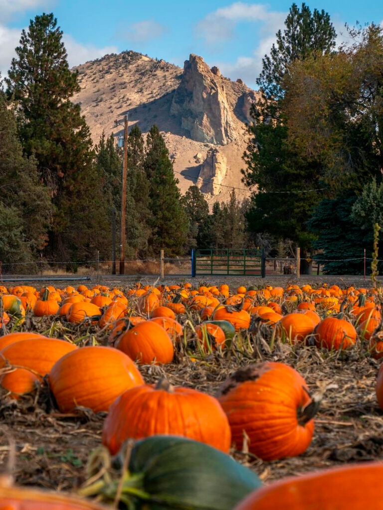 Un road trip pour découvrir l'Oregon