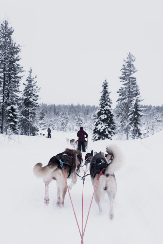 Partir en week-end à Rovaniemi