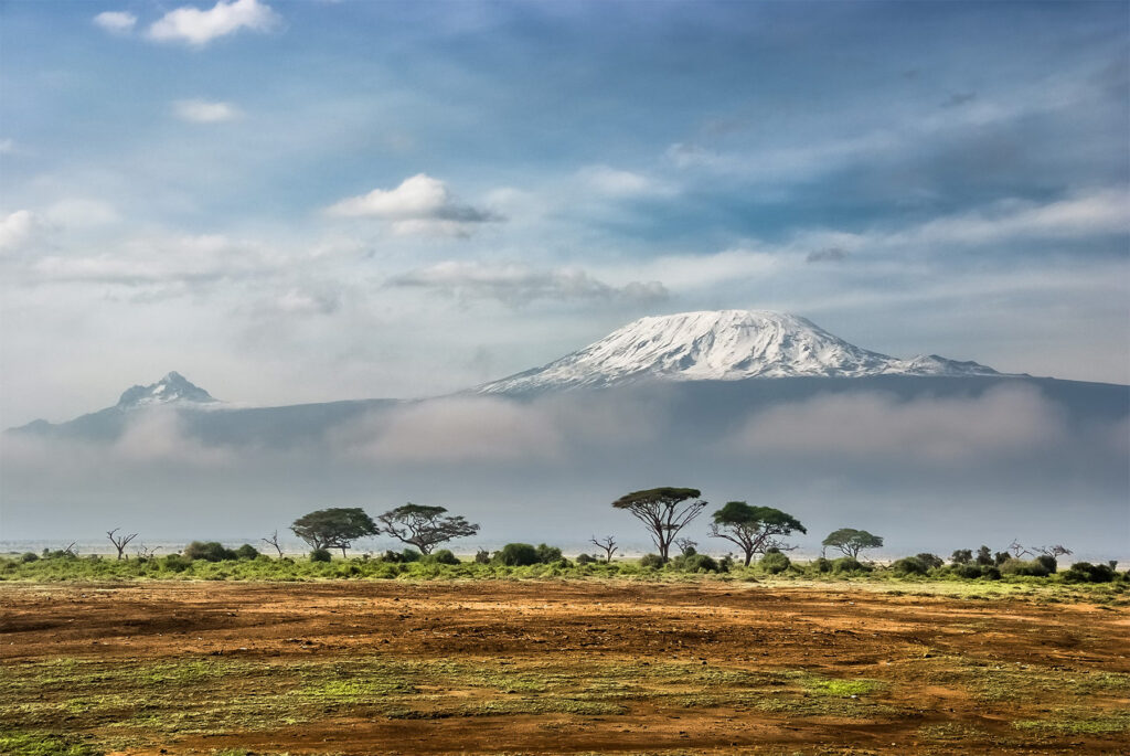 Safari Afrique