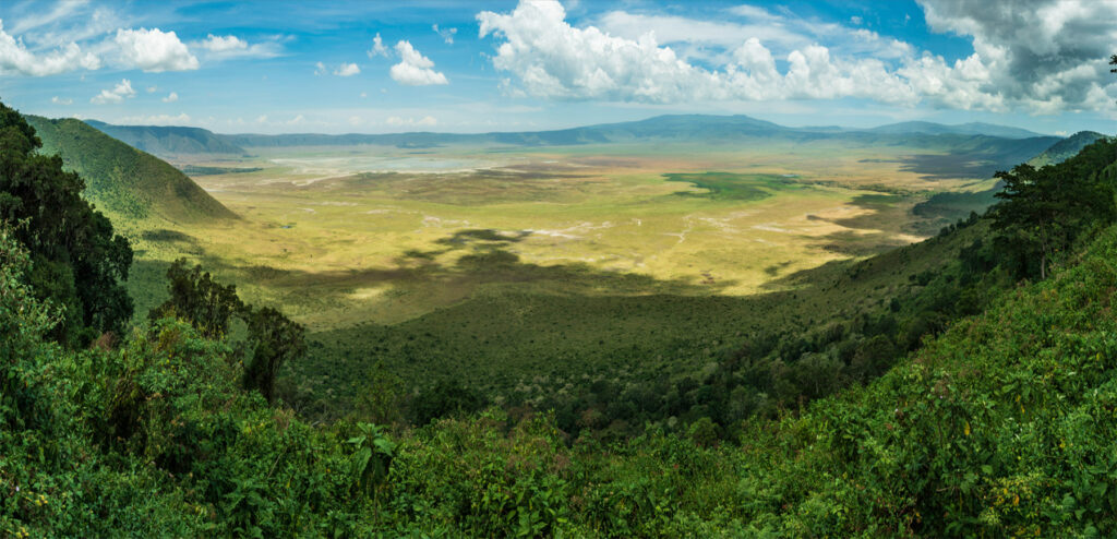 Afrique: quel pays pour un safari ?