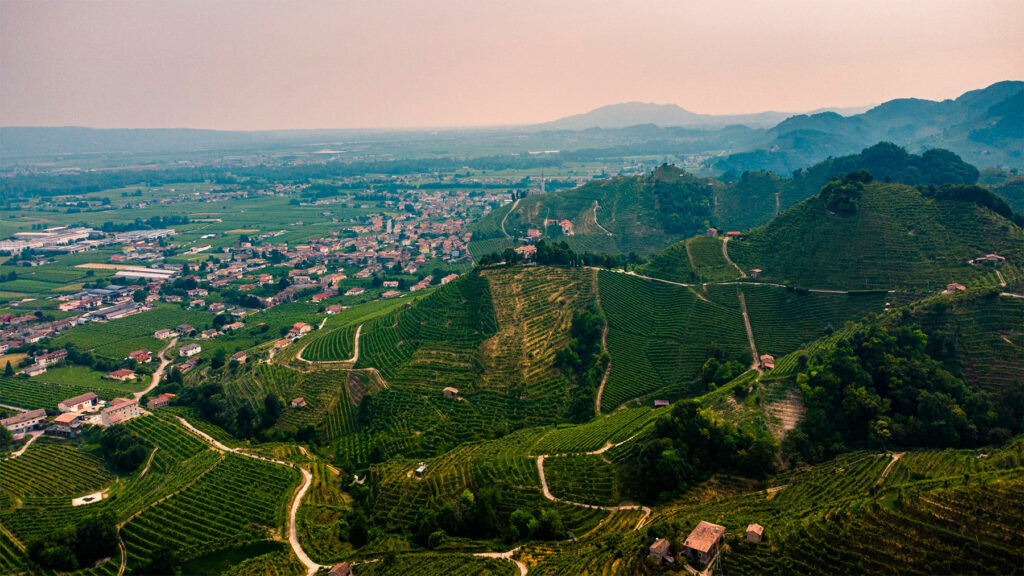 Les vignobles de Veneto