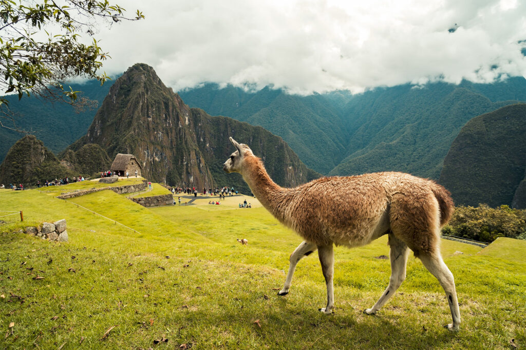 Visiter Le Machu Picchu - à savoir