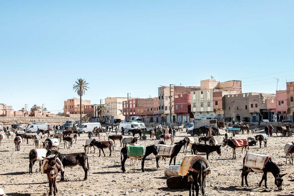 De Marrakech à Merzouga