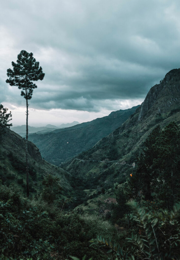 Nos conseils pratiques pour un voyage au Sri Lanka