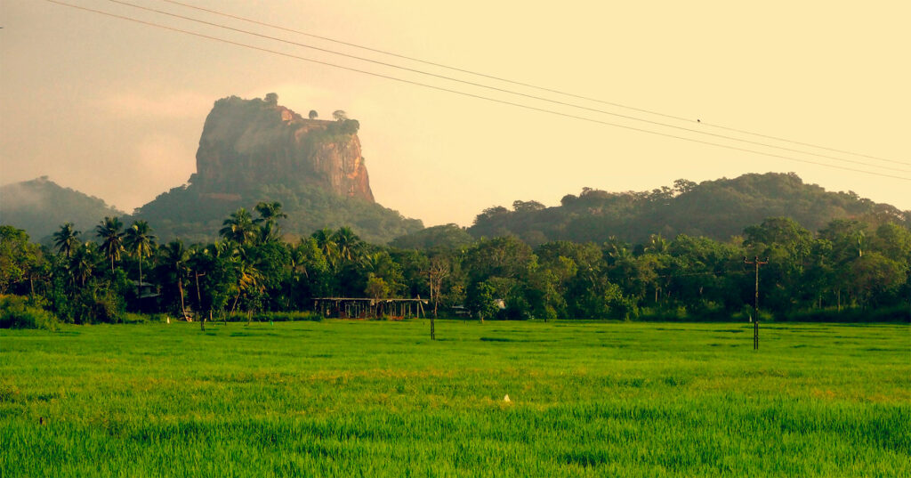 Nos conseils pratiques pour un voyage au Sri Lanka