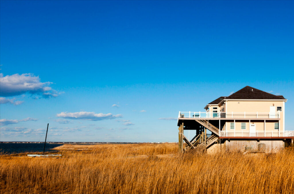 Explorez Long Island : plages, vignobles et culture